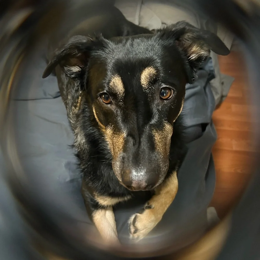 FX Halo Filter for lens